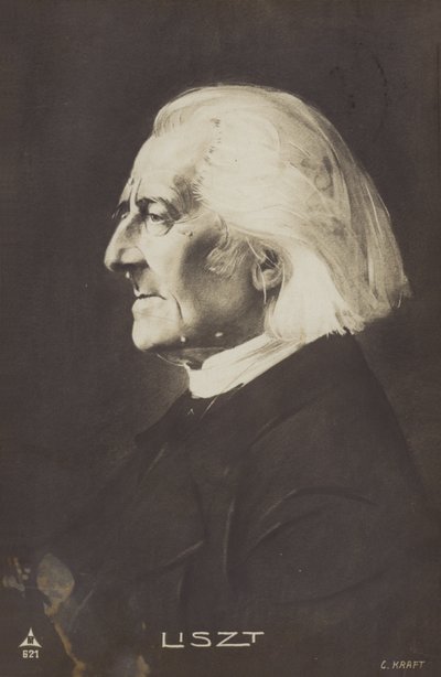 Porträt von Franz Liszt von European Photographer